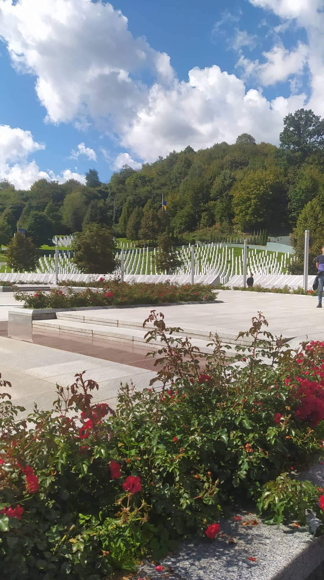 306732038_526026889524280_219589464239826094_n