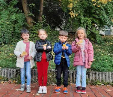 310432009_539436044850031_340223469462850118_n