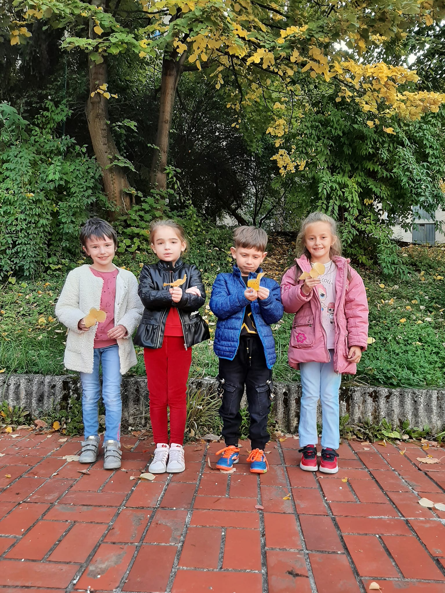 310432009_539436044850031_340223469462850118_n