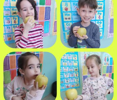 viber_image_2023-04-12_23-50-21-518