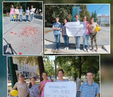 380889619_799885472138419_2651331526941671442_n