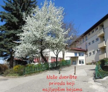 439857261_944421451018153_7303784339444583264_n