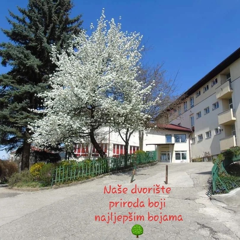 439857261_944421451018153_7303784339444583264_n