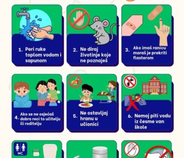 500362122_1256541506472811_5725648572110369849_n