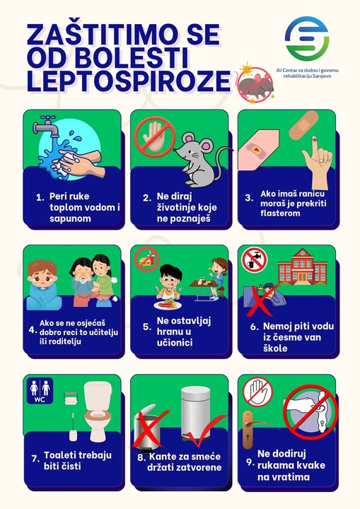 500362122_1256541506472811_5725648572110369849_n