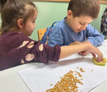 558452396_1376981444428816_1356505770481802995_n