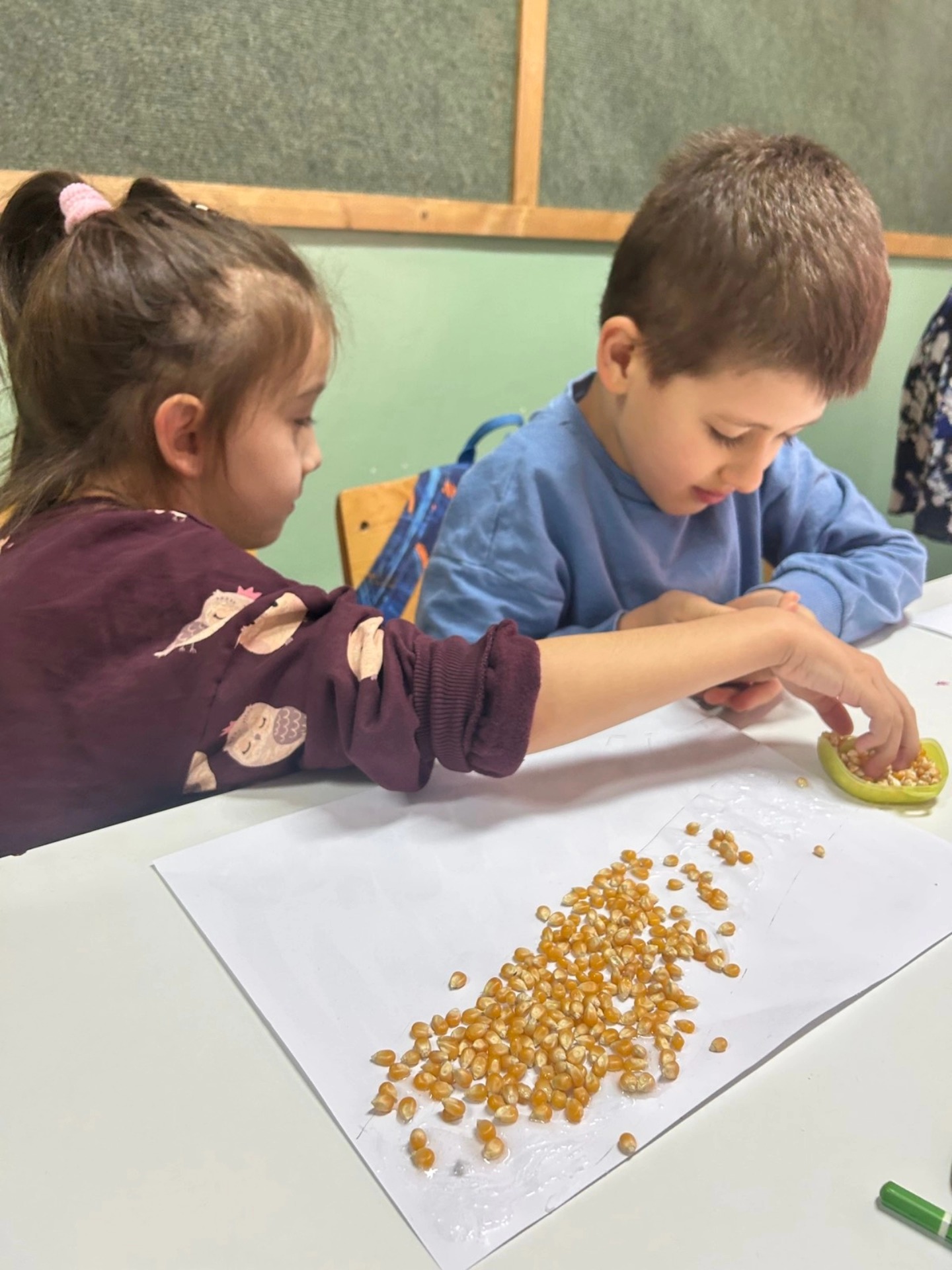 558452396_1376981444428816_1356505770481802995_n